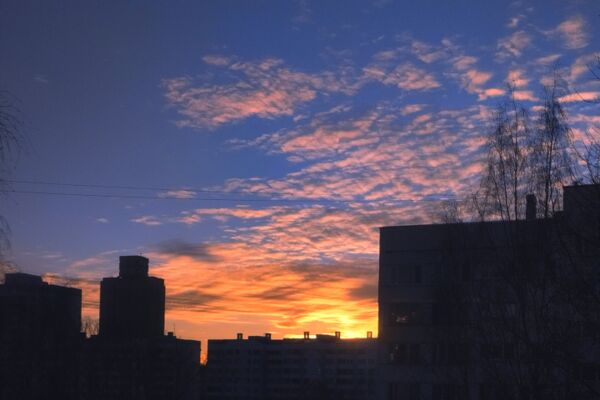 img4531841.png