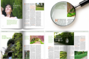 Журнал «Зелёный город» Мосзеленстрой