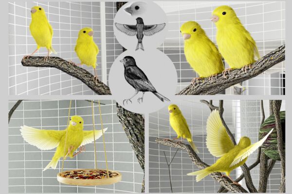 img4402438.png