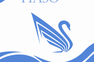 Логотип для упаковки салфеток