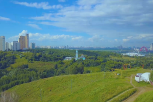 Работа 3532584