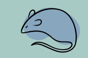 Рисунок в Procreate