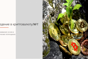 Презентация на тему :Введение в криптовалюту/NFT