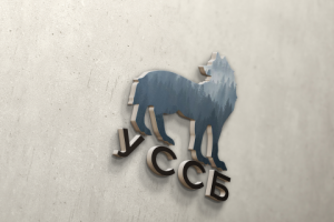 Логотип для фирмы ООО "УССБ"