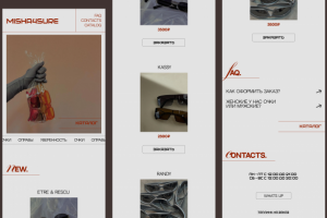 таплинк для интернет-магазина