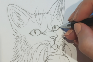 Работа 4046712