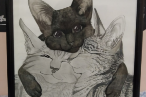 Коты-воители, троица.