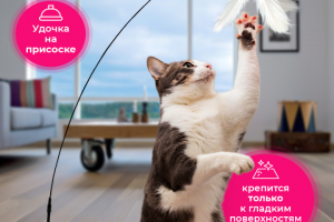 Инфографика - "Игрушка для кошек"