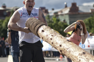 Работа 3838452