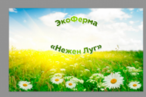 Название для ЭкоФермы