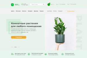 Интернет магазин комнатных цветов Kaktus