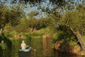 Плывущий по реке