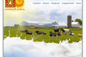 Компания "Новый День"