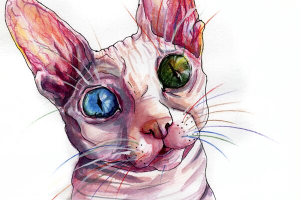 img4508424.png