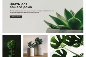 Главная страница цветочного магазина