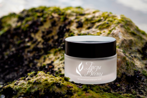 Разработка фирменного стиля "Грезы Весны"