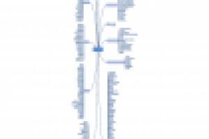 Один из способов подбора широкой семантики для контекстной рекла