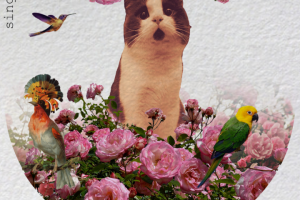 Карточка с поющим котом