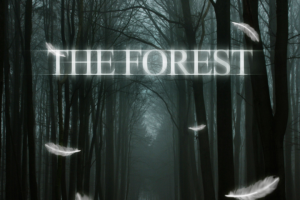 Обложка "The Forest"