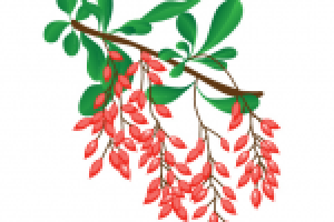 Работа 2631634