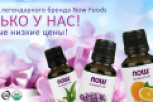 Работа 2631698