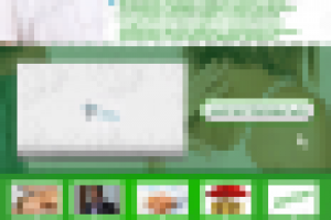 Работа 2551856