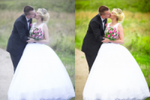 Работа 2631759