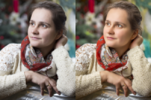 Работа 2631757