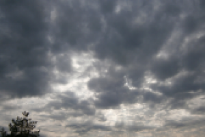 Работа 1544703