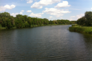 Работа 1544691