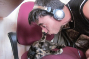 Работа 1544698