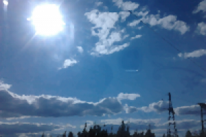 Фотошоп(картина маслом)