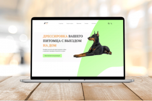 Первый экран