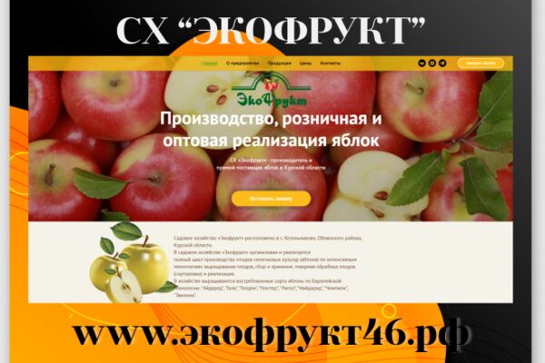 img4028887.png