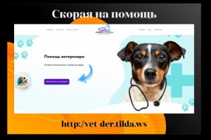 Скорая на помощь