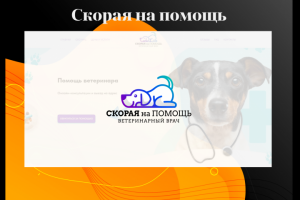 Скорая на помощь