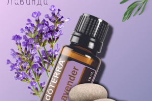 Инфографика