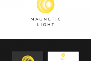 Magnetic Light