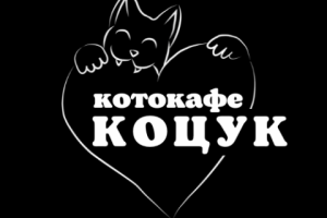 котокафе