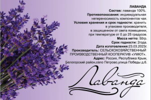 Разработка макета листовки, флаера