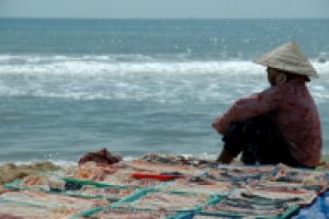 Текст с ключевыми словами "Вьетнамский жемчуг"