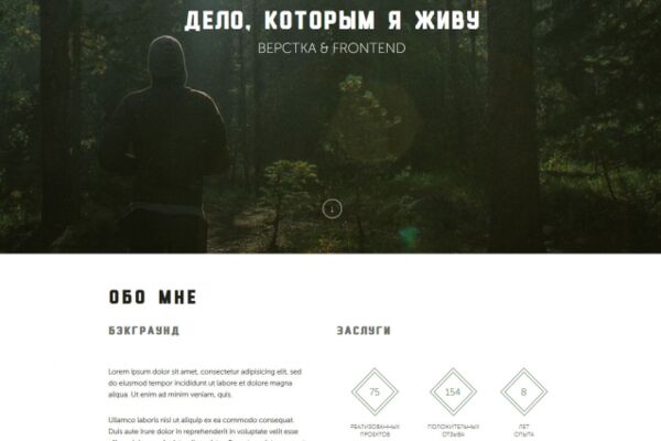 img3370841.png