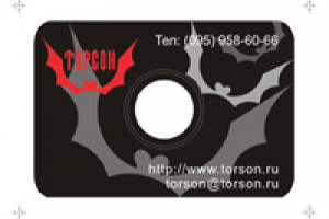 Мультимедийная презентация охранного агентства "Торсон"