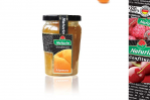 Ведение проекта