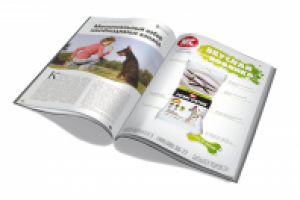 рекламный модуль в профильное СМИ