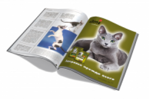 рекламный модуль в профильное СМИ