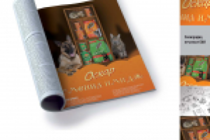 модуль в СМИ 1/1