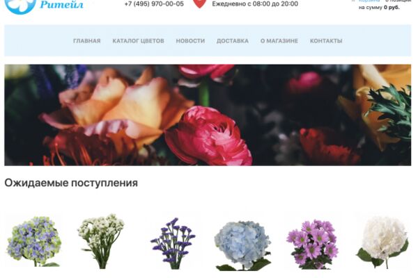 img3972833.png