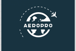 Логотип для авиакомпании