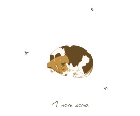 img4171677.png